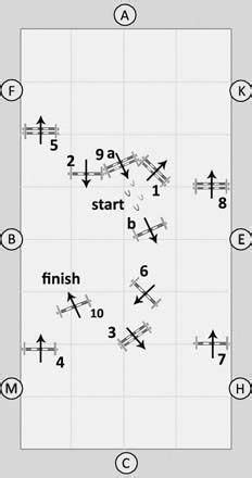 parcours équestre mots fléchés|OBSTACLES ÉQUESTRES EN 5 LETTRES